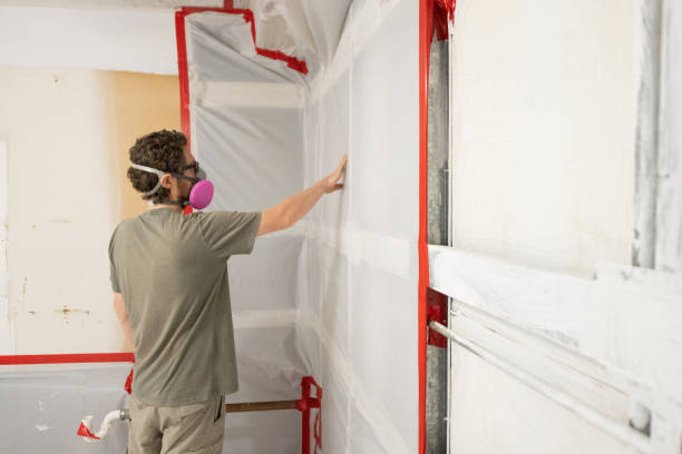 Best Attic Mold Removal  in Sterling, CO