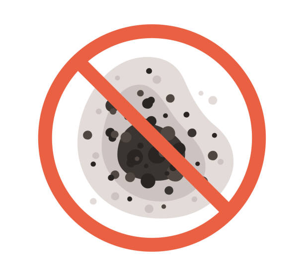 Reliable Sterling, CO Mold Removal Solutions