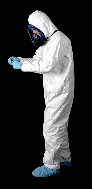 Best Mold Damage Restoration  in Sterling, CO