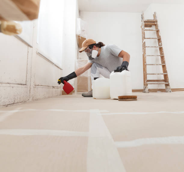 Best Mold Odor Removal Services  in Sterling, CO